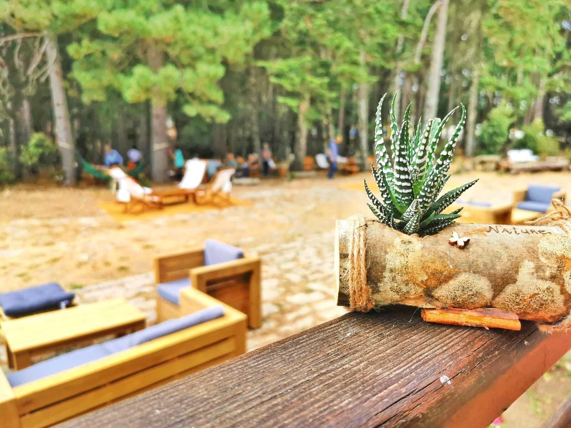 Vallicciola Nature Hotel Tempio Pausania Eksteriør billede